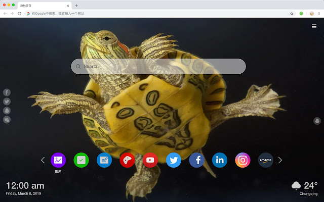 Turtles Popular Animals HD New Tabs Themes