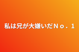 私は兄が大嫌いだＮｏ．1