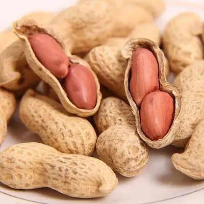 Groundnuts 50 1202