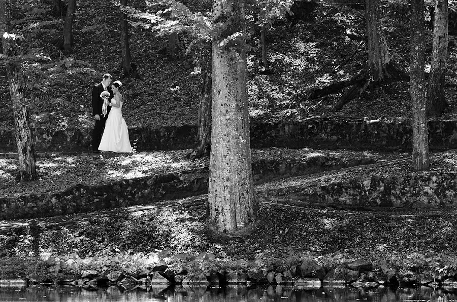 Photographe de mariage Szabolcs Sipos (siposszabolcs). Photo du 2 avril 2015