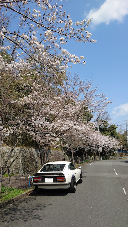 の投稿画像3枚目