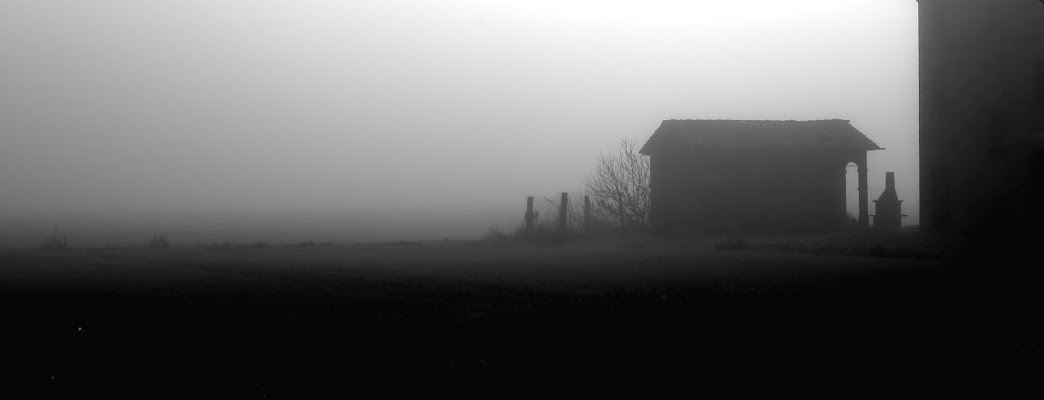 tra la nebbia di NicoGovoni