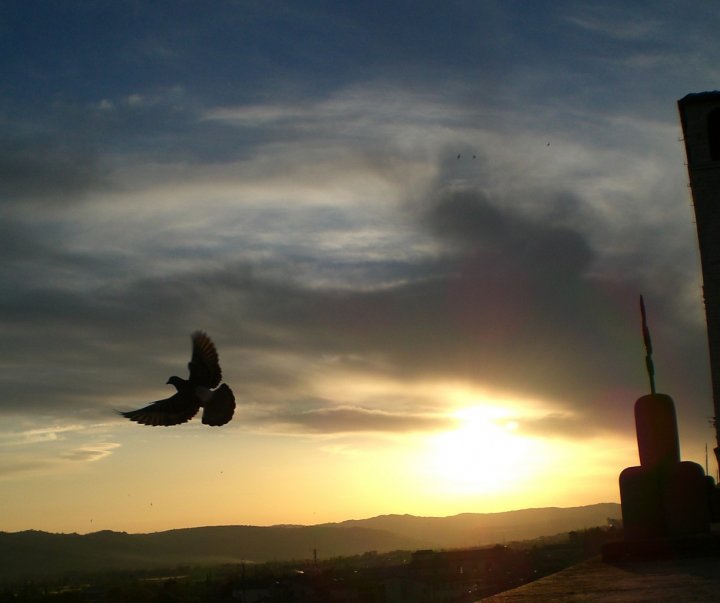 Volo nel tramonto di AnnaMaria