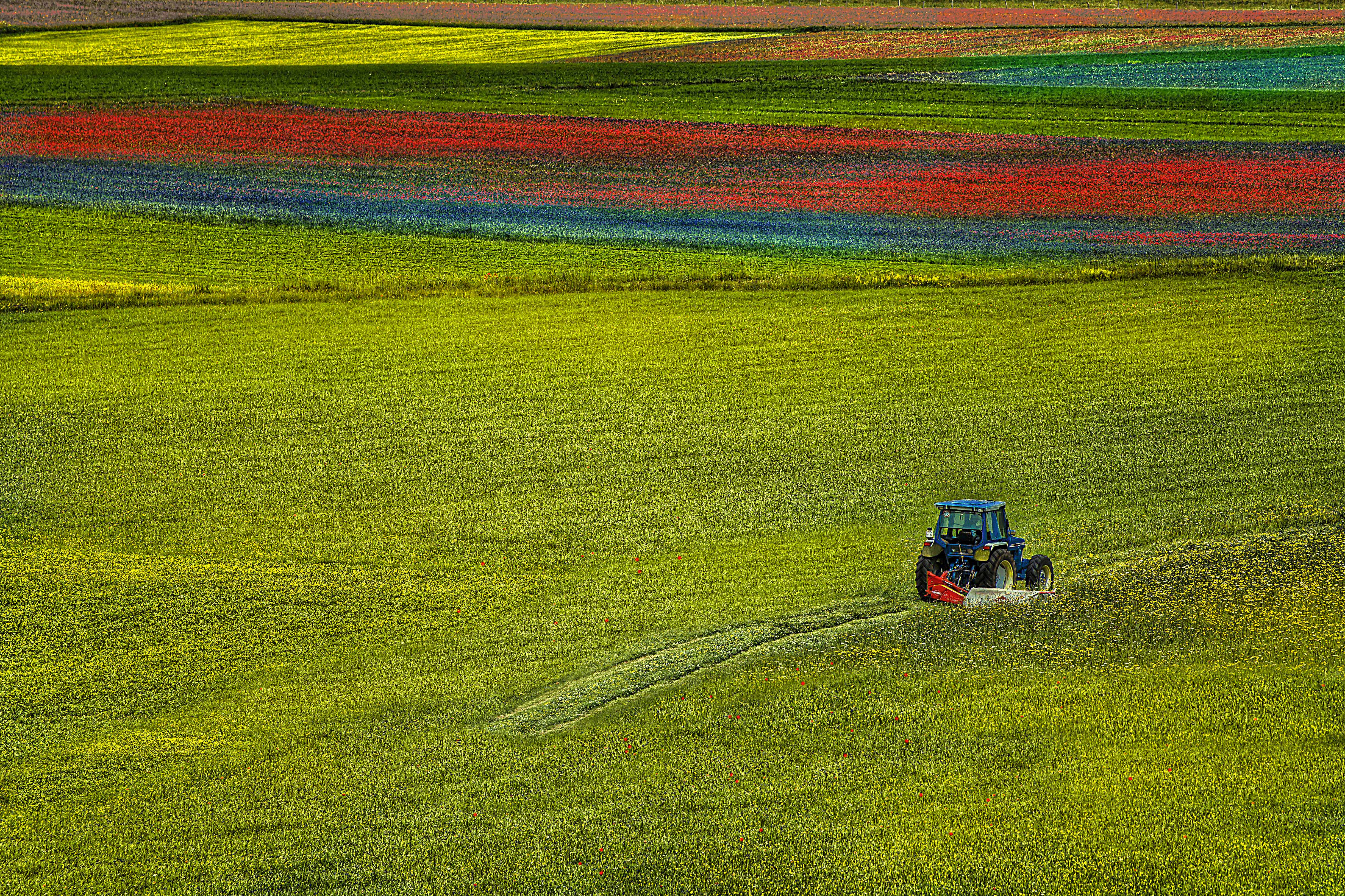 Lavoro di primavera di paolo1954