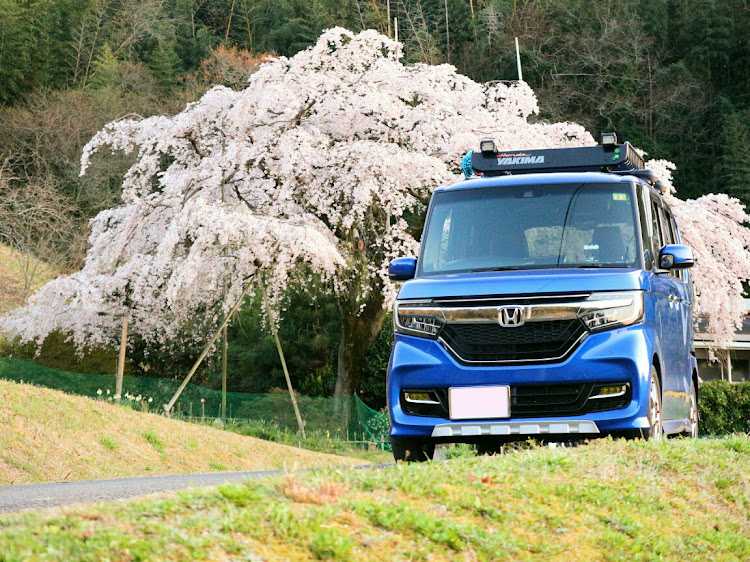 Nボックスカスタムの桜・花見・2020ベストショットに関するカスタム事例の投稿画像1枚目