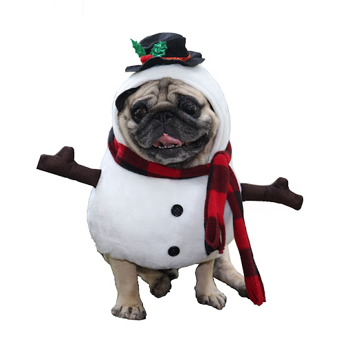 Title 4, Christmas Pet Funny Clothes Snowman Pet Costume...