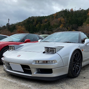 NSX NA1