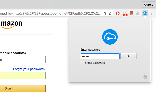 SafeInCloud Password Manager