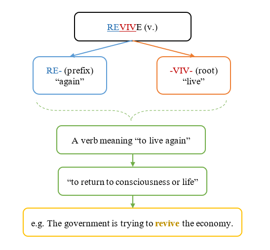 hoc-tu-vung-thong-qua-goc-tu-revive