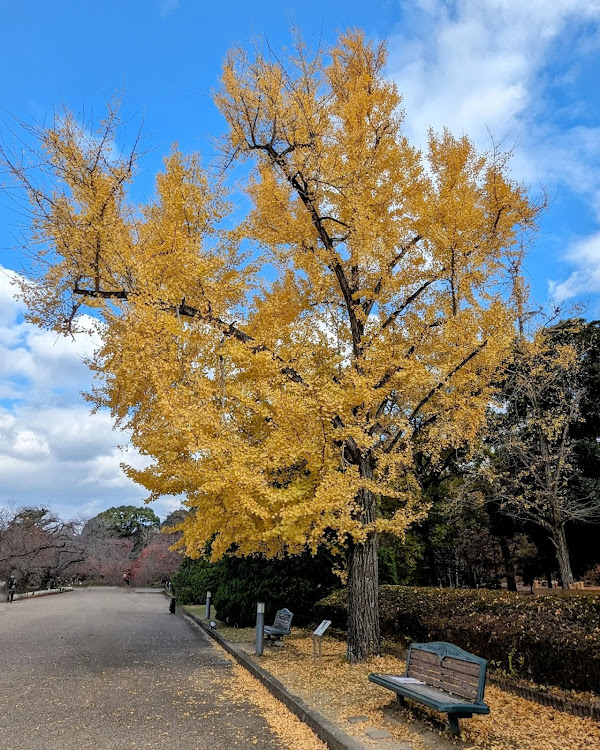 の投稿画像3枚目