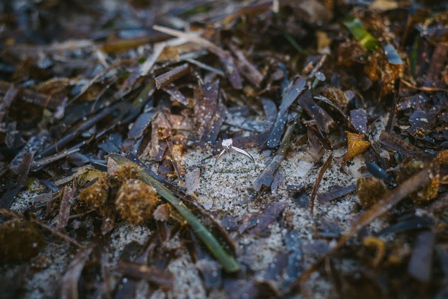 Φωτογράφος γάμων Inga Mendelite (ingaphoto). Φωτογραφία: 7 Σεπτεμβρίου 2015