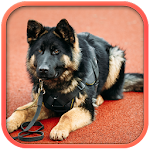 Fantastic Police Dog Apk