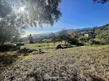 terrain à Bastia (2B)