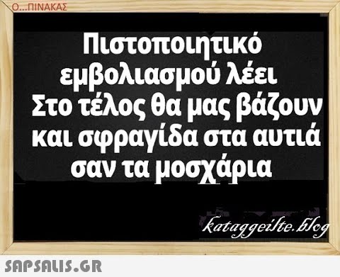 Ο. ΠΙΝΑΚΑΣ Πιστοποιητικό εμβολιασμού λέει Στο τέλος θα μας βάζουν και σφραγίδα στα αυτιά σαν τα μοσχάρια SnPSnIS.GR