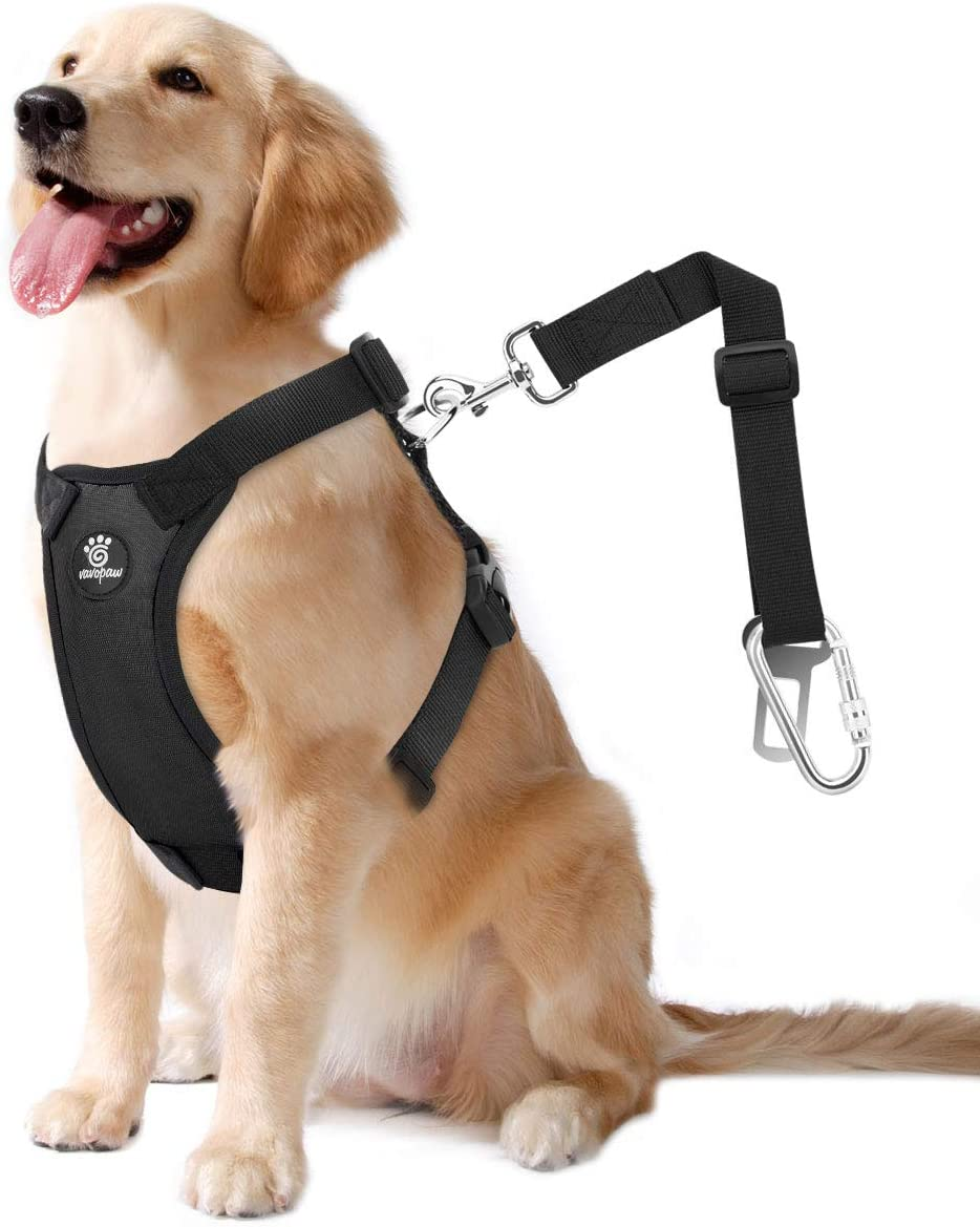 Dog Vehicle Safety Vest Harness & Dog's Seatbelt