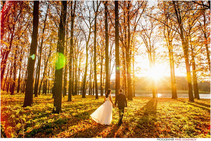 Fotografo di matrimoni Pavel Gomzyakov (pavelgo). Foto del 6 febbraio 2014