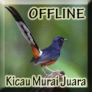 Kicau Murai Batu Offline 1.0 Icon