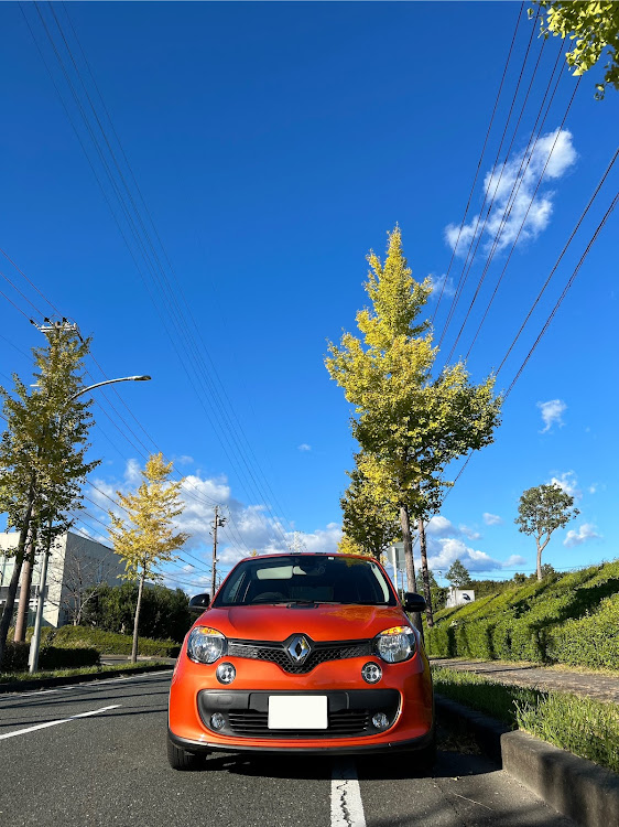 トゥインゴの紅葉と愛車・愛車と柴犬・航空祭行きたかったなぁに関するカスタム事例の投稿画像1枚目