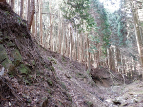 ここを登り左の尾根に