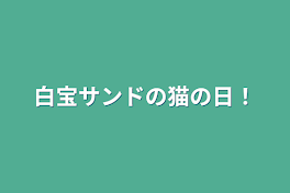 白宝サンドの猫の日！