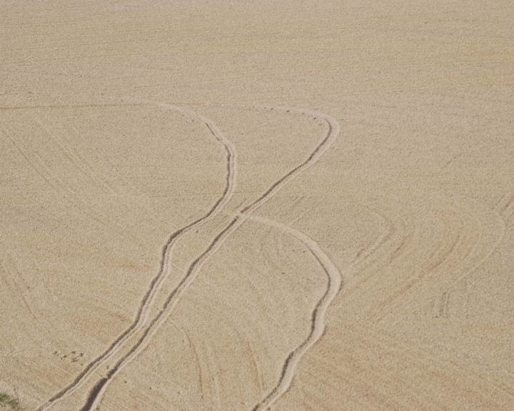 In the sand... di dylan70