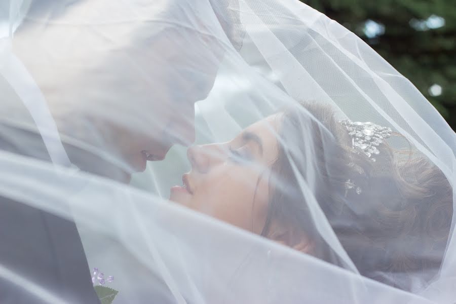 Wedding photographer Ekaterina Gibina (katiivladii). Photo of 26 July 2019