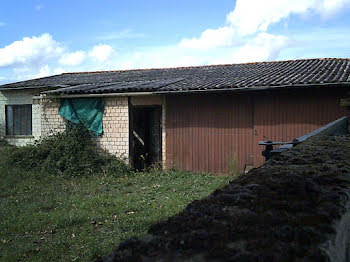 terrain à Saint-Martin-la-Pallu (86)