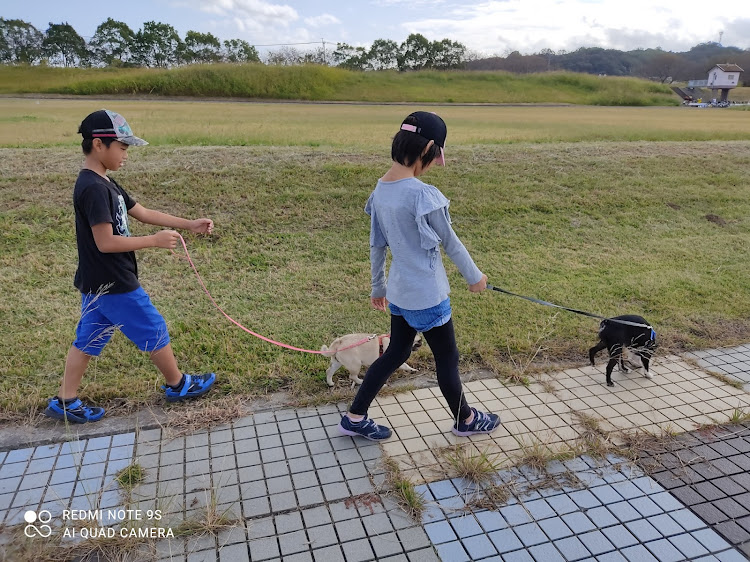 の投稿画像7枚目