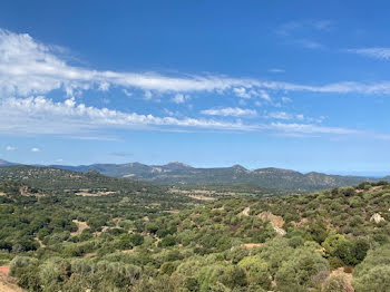 terrain à Belgodère (2B)