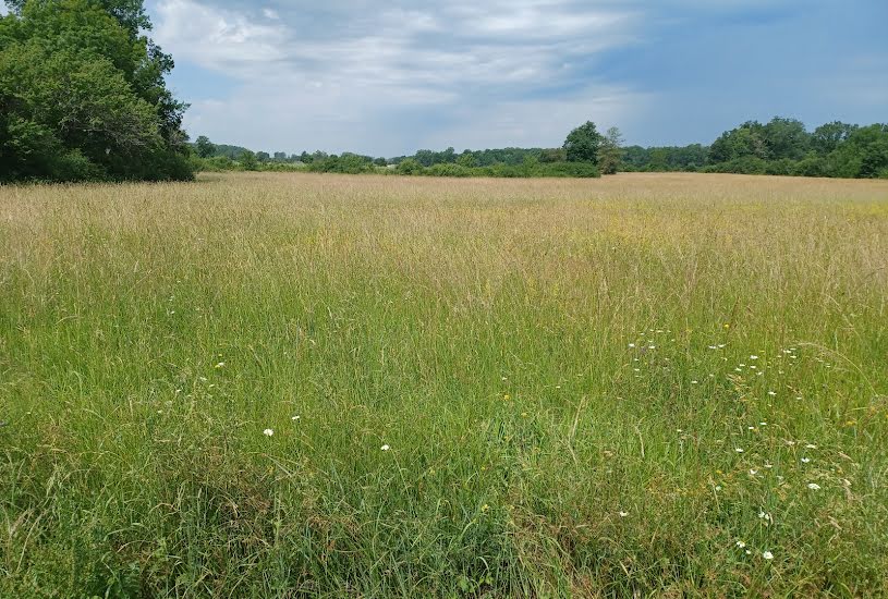  Vente Terrain à bâtir - 800m² à Vertheuil (33180) 