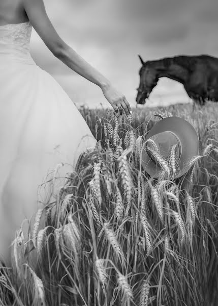 Photographe de mariage Sergey Mayboroda (sergeimaib). Photo du 10 avril