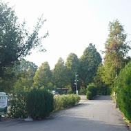 菁芳園 Tenway Garden／花園餐廳／落羽松