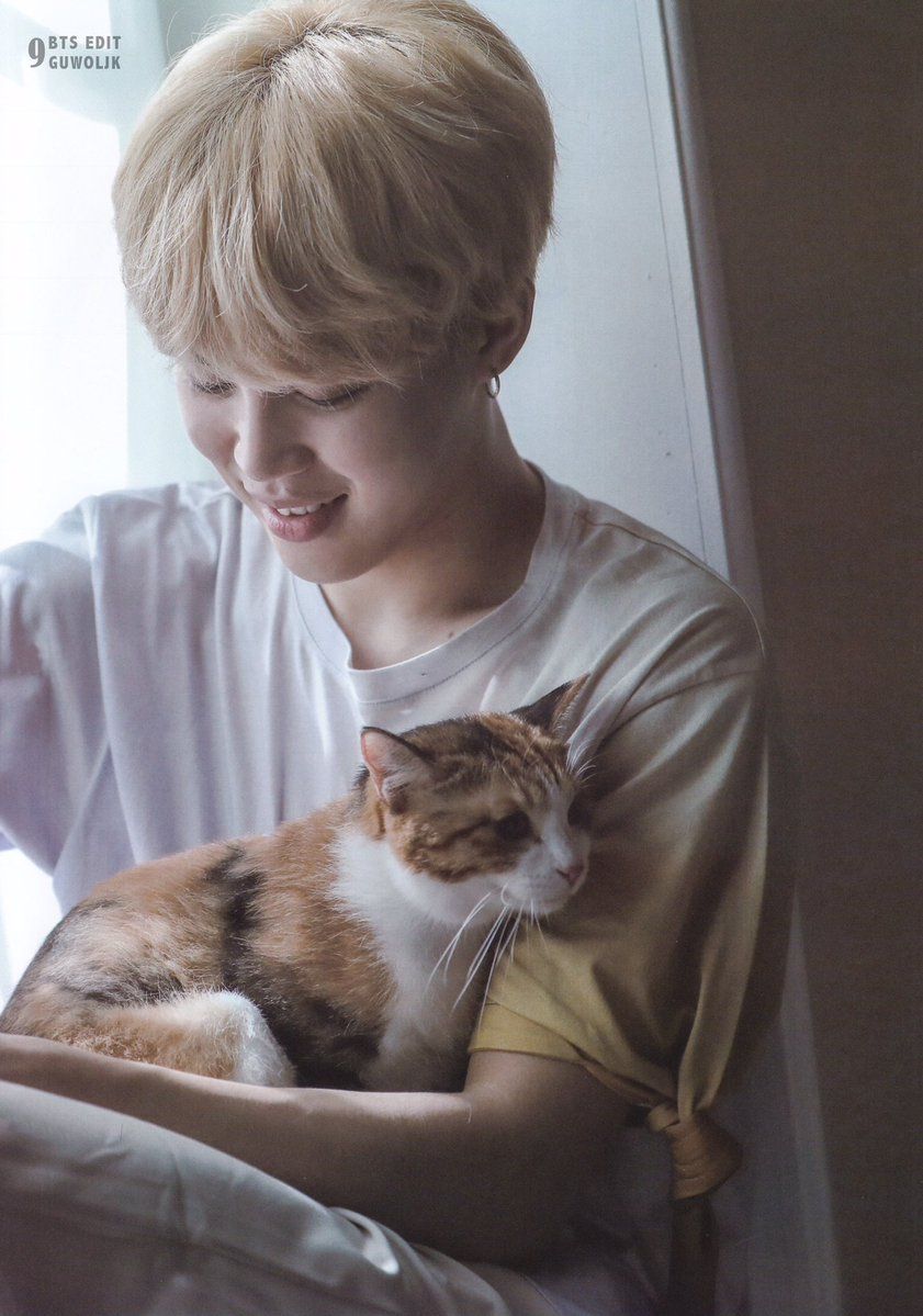 9 Animals Who Fell Madly In Love With BTS's Jimin