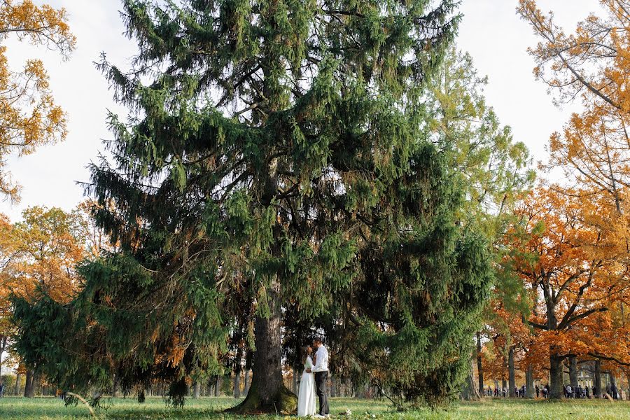 Svatební fotograf Katerina Platonova (sescar). Fotografie z 25.října 2018