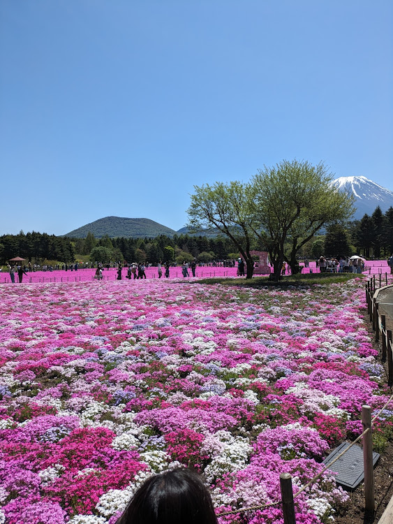 の投稿画像5枚目