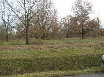 terrain à Choisy-en-Brie (77)