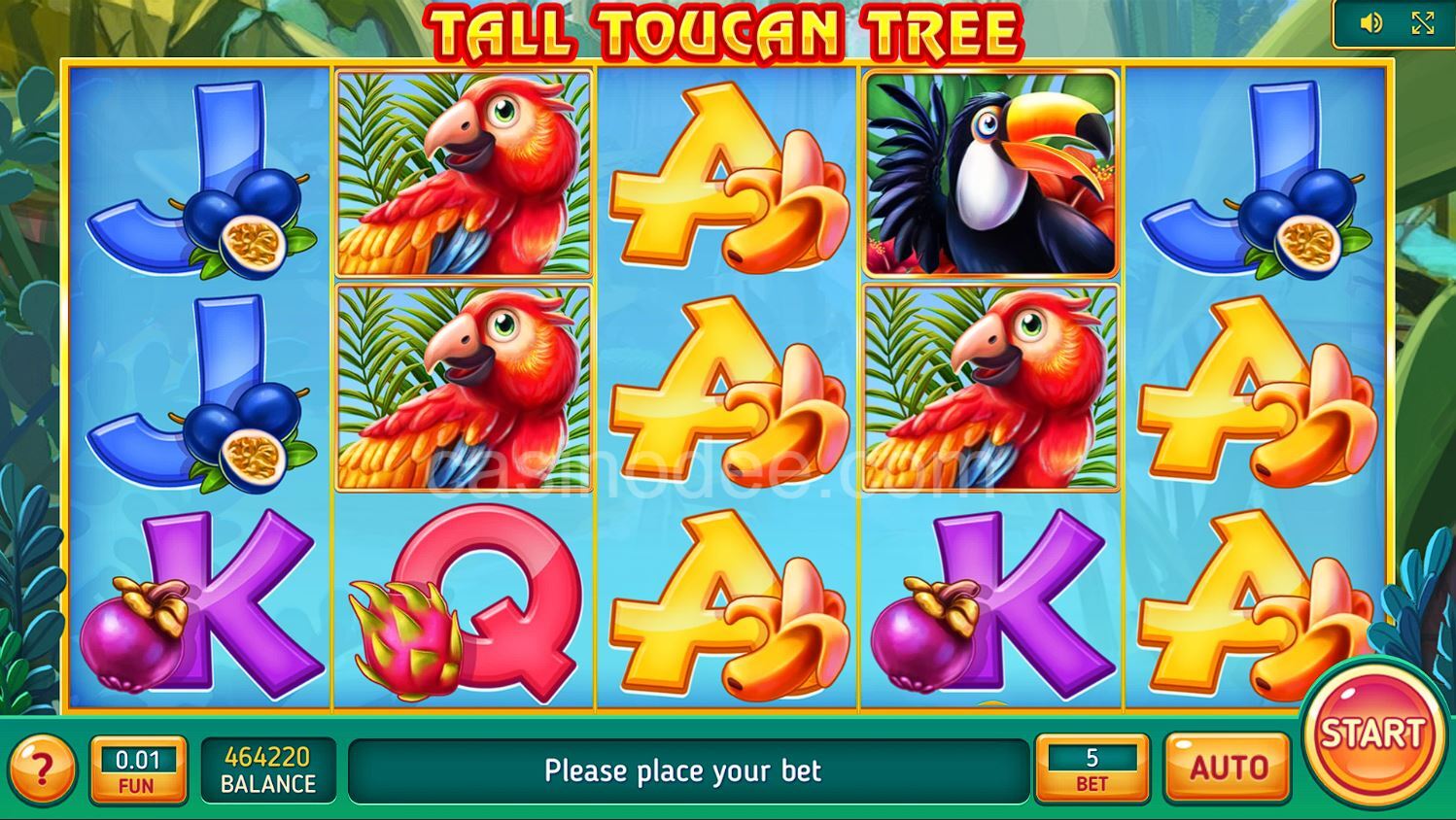 Tall Toucan Tree