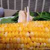 Thumbnail For Tex-mex Corn On The Cob