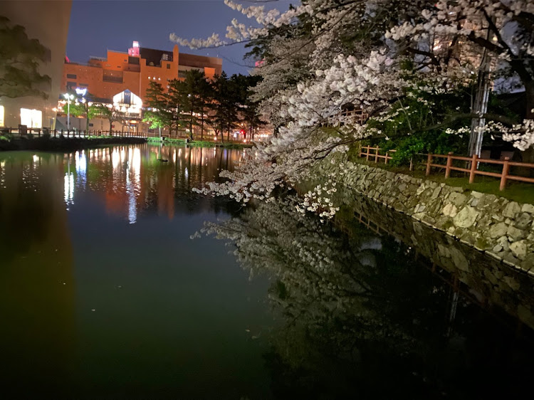 ストリームのストリームRN6・桜に関するカスタム事例の投稿画像4枚目