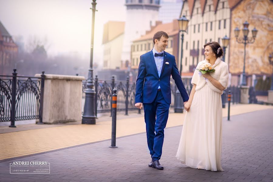 Wedding photographer Andrey Vishniveckiy (cherry). Photo of 8 April 2016