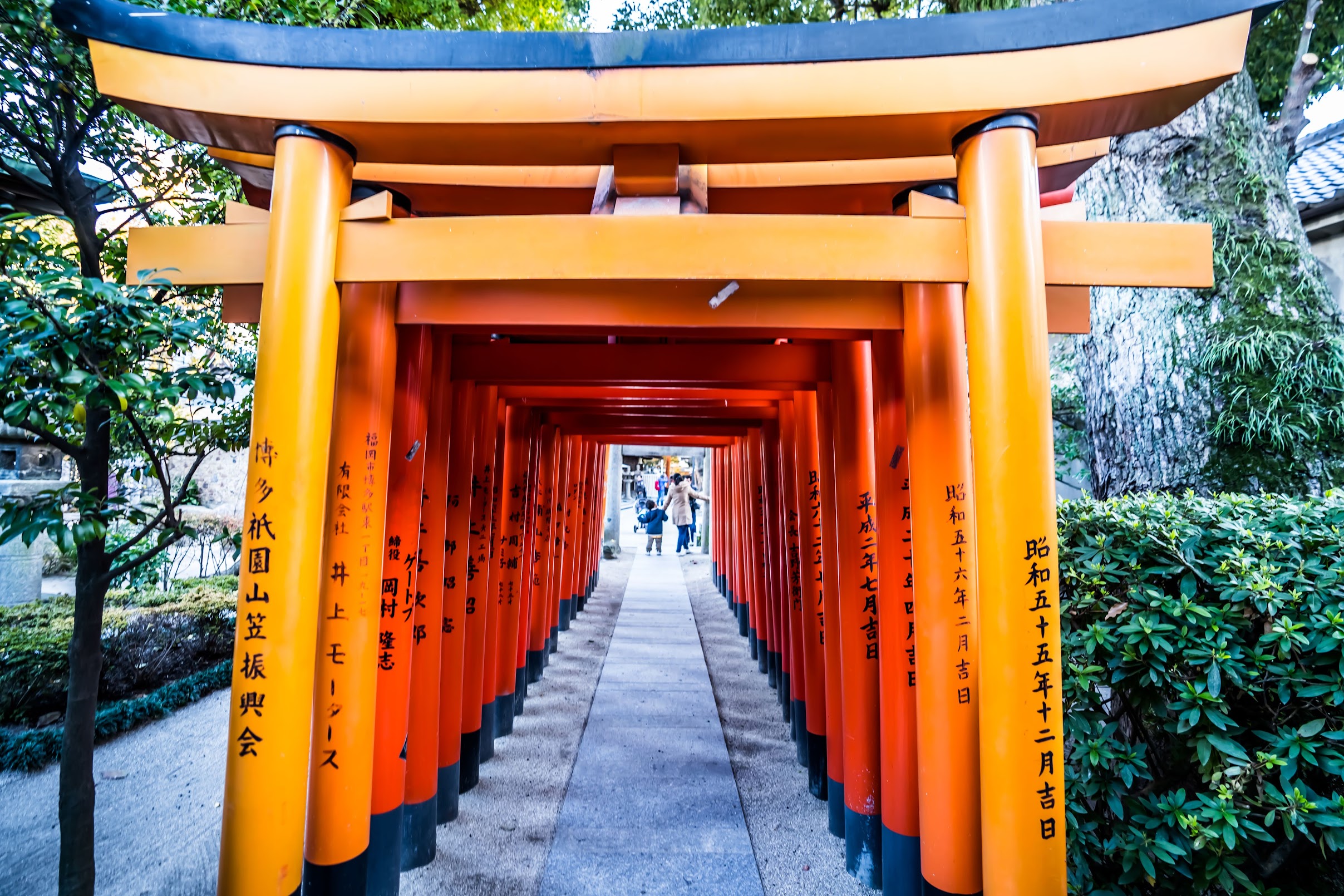 福岡 櫛田神社2