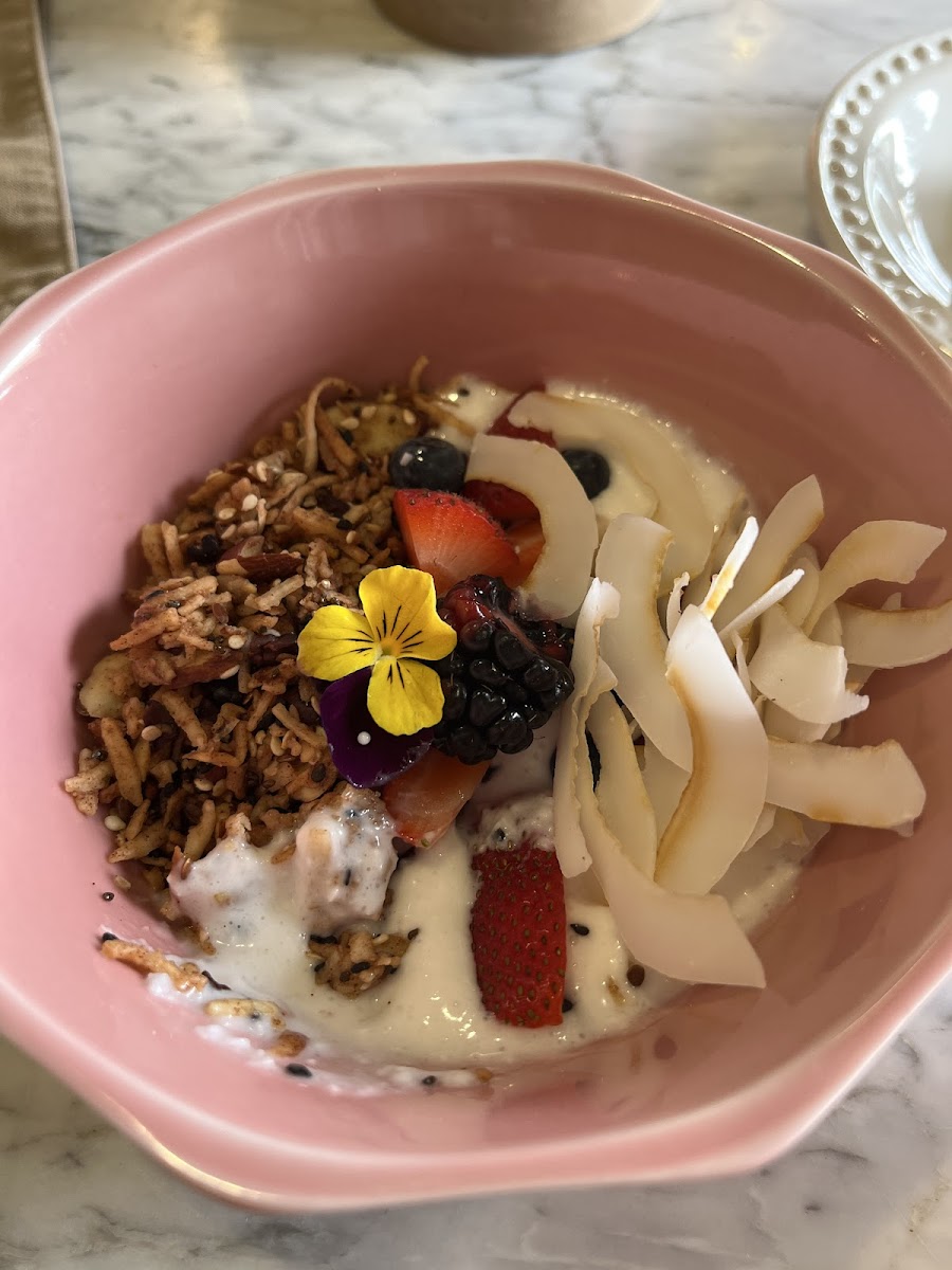 Vegan coconut yogurt bowl