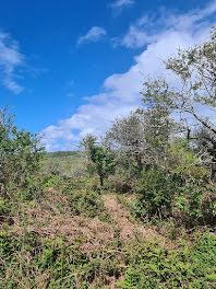 terrain à Crozon (29)