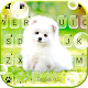 Download Cute White Puppy Keyboard Background For PC Windows and Mac 1.0