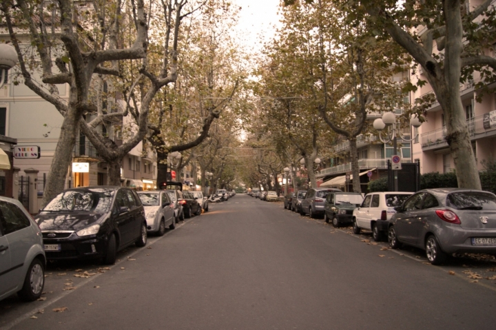 Viale d'Autunno di marcomammi1998