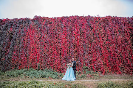 Wedding photographer Dmitriy Shirokopoyas (15081990). Photo of 28 November 2018