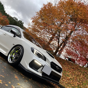 WRX STI VAB