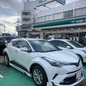 C-HR ZYX10