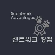 센트워크장점-한국특수탐지견센터