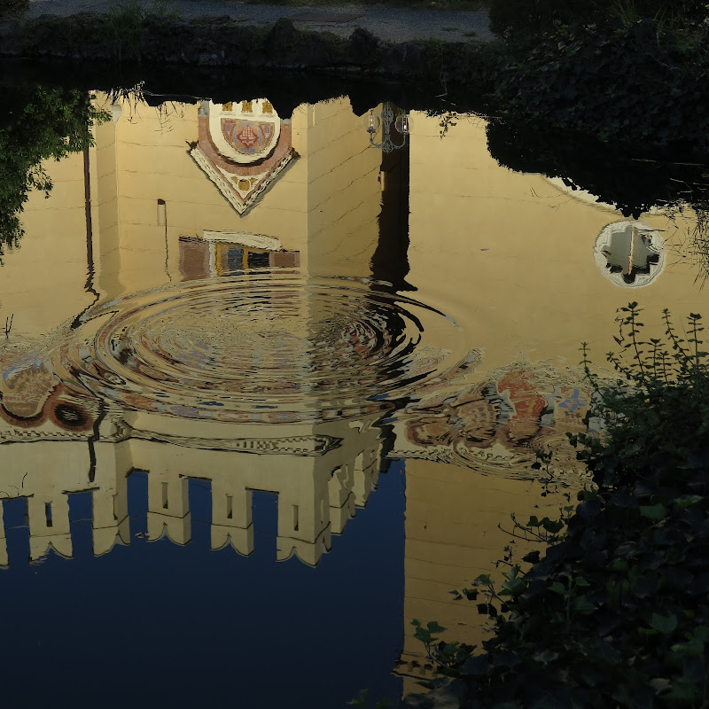 riflessi nel lago dorato di malte